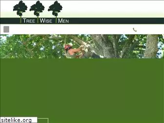 treewisemen.co.nz