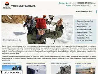 trekkingingarhwal.com