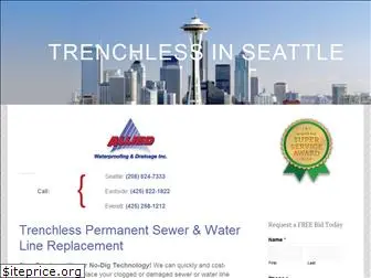 trenchlessinseattle.com