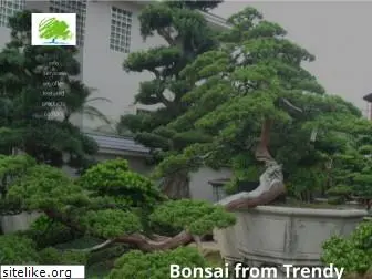 trendybonsai.com