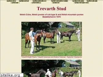 trevarthstud.com