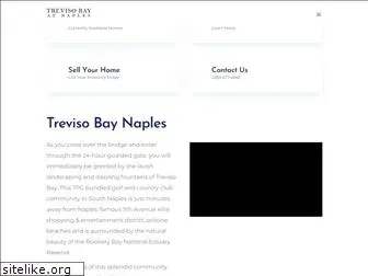 trevisobayatnaples.com