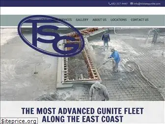 tri-stategunite.com