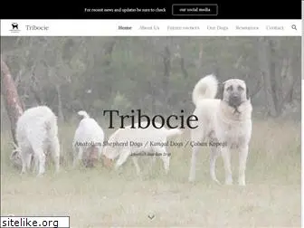 tribocie.com.au