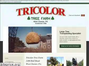 tricolortree.com