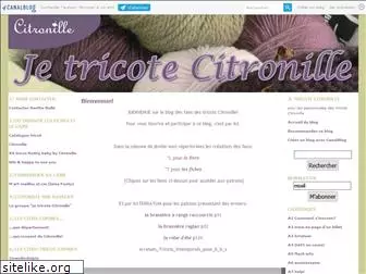 tricotcitronille.canalblog.com
