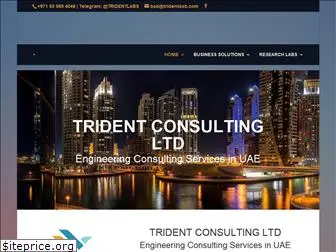 tridentdxb.com