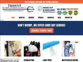 tridentplumbinganddrain.com