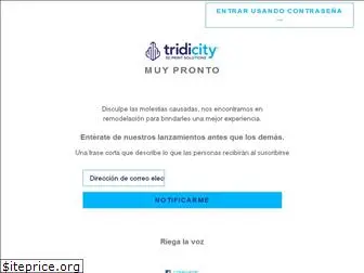 tridicity.com.mx