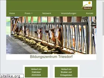 triesdorf.de