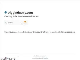 triggindustry.com