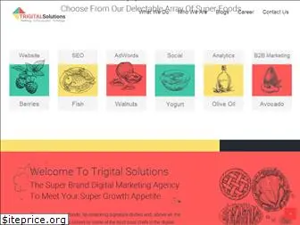 trigitalsolutions.com
