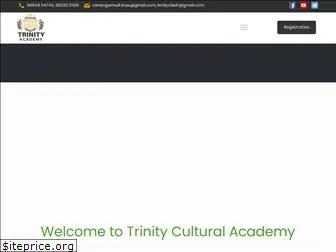 trinityculturalacademy.com