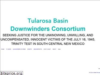 trinitydownwinders.com