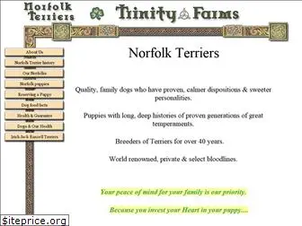 trinitynorfolkterriers.com
