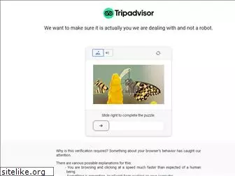 tripadvisor.com