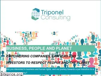 triponelconsulting.com