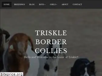 trisklebordercollie.com