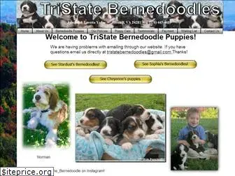 tristatebernedoodles.com