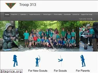 troop313.org