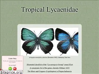 tropical-lycaenidae.net