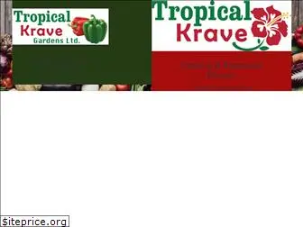 tropicalkrave.com