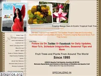 tropicamango.com