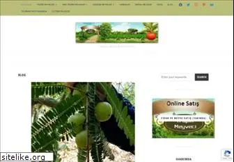 tropikmeyveci.com
