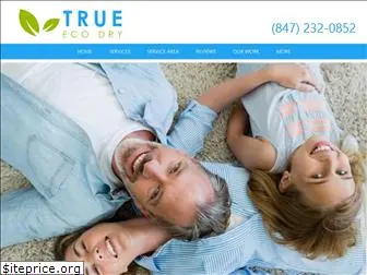 true-eco-dry.com