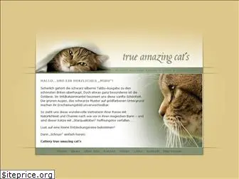 trueamazingcats.eu