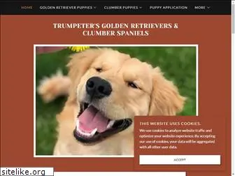 trumpetergoldenretrievers.com