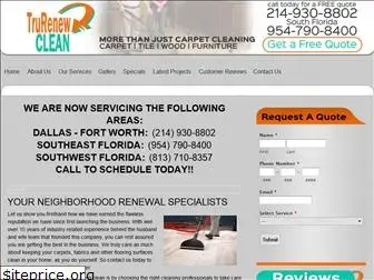 trurenewclean.com