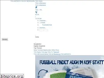 tsg-hoffenheim.de