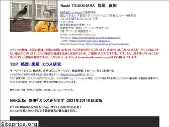 tsukaharanaoki.net