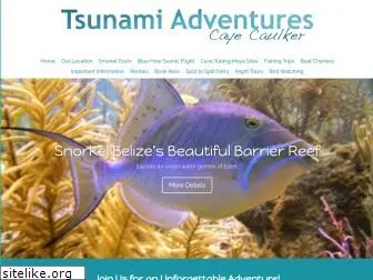 tsunamiadventures.com