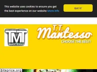 ttmantesso.com