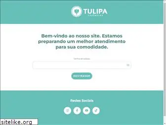 tulipaessencias.com.br