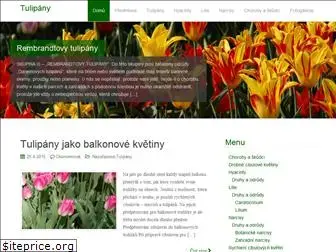 tulipany.info