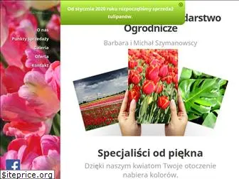 tulipany.pl