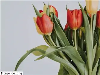 tuliptownbulbs.com