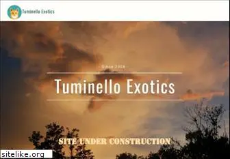 tuminelloexotics.com