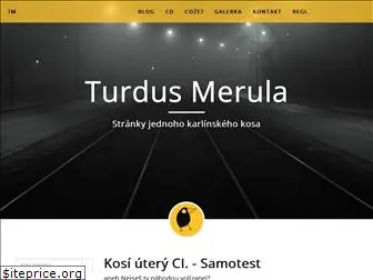 turdusmerula.cz