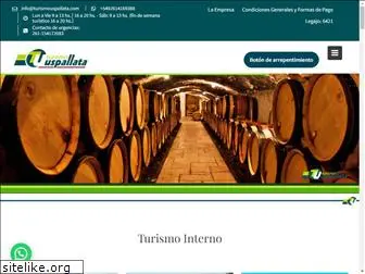 turismouspallata.com