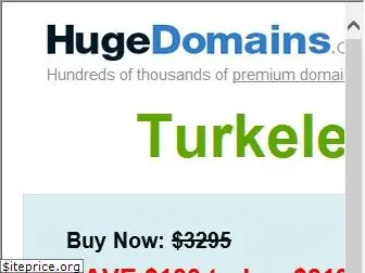 turkelektronik.com