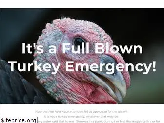 turkeyemergency.com