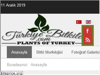 turkiyebitkileri.com