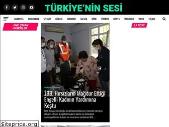 turkiyeninsesi.net