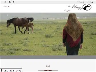 turkmen-horse.com