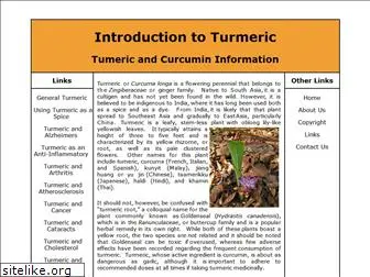 turmericinfo.com