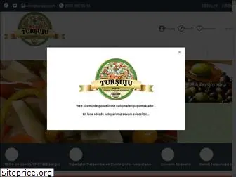 tursuju.com